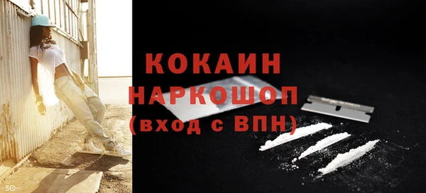 сатива Абинск