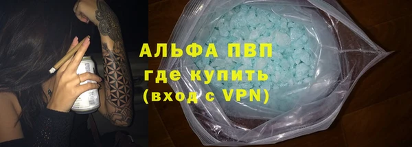 сатива Абинск