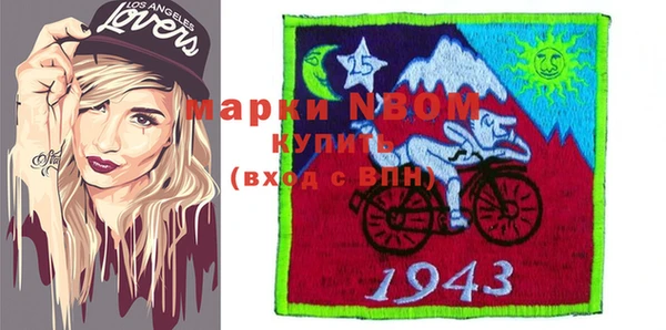 стафф Новозыбков