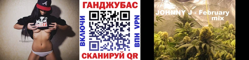 Шишки марихуана SATIVA & INDICA  блэк спрут вход  Новоалтайск  где можно купить  